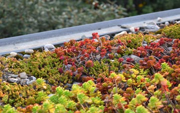 the cost of Rodwell green roof installation