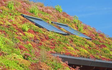 Rodwell living roof systems